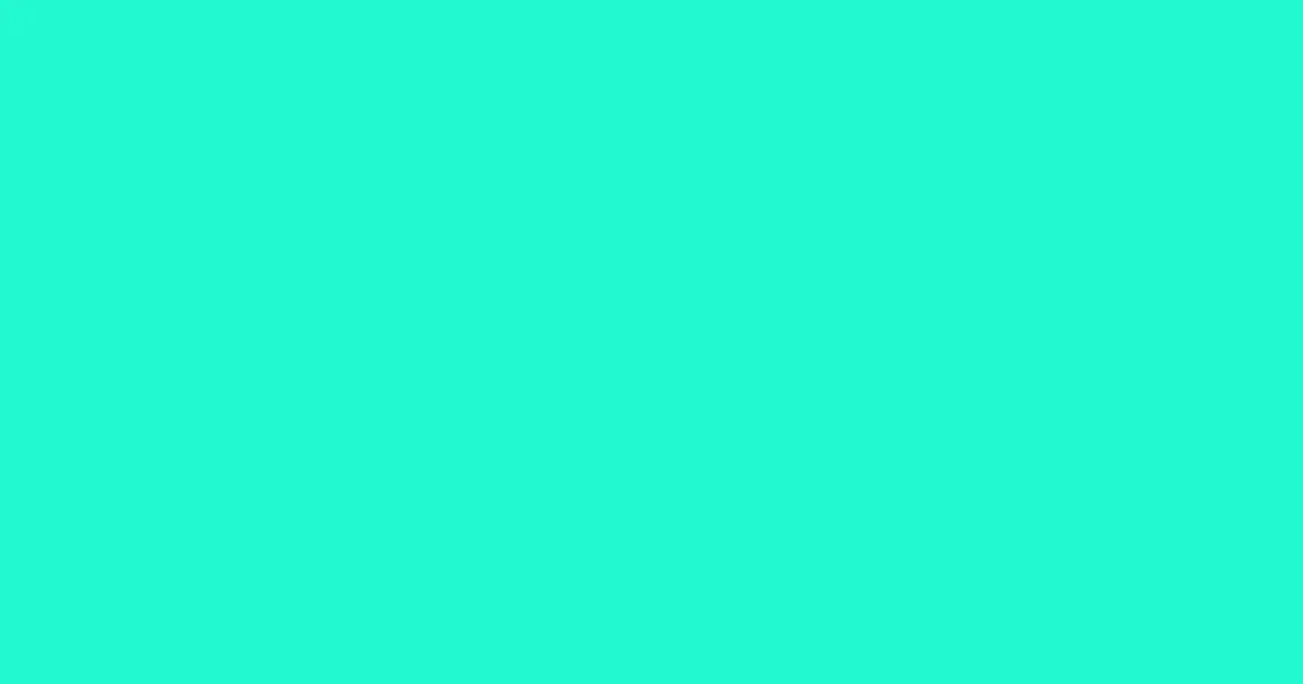 #23f8d1 bright turquoise color image