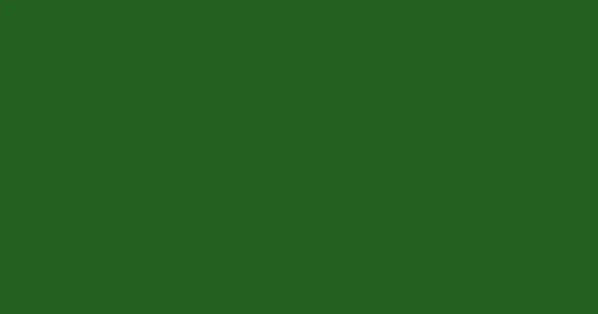 #24601e parsley color image