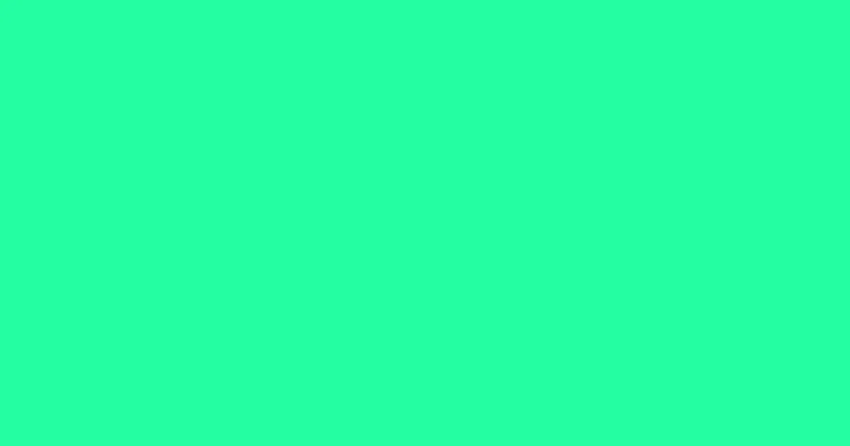 #24fda2 spring green color image
