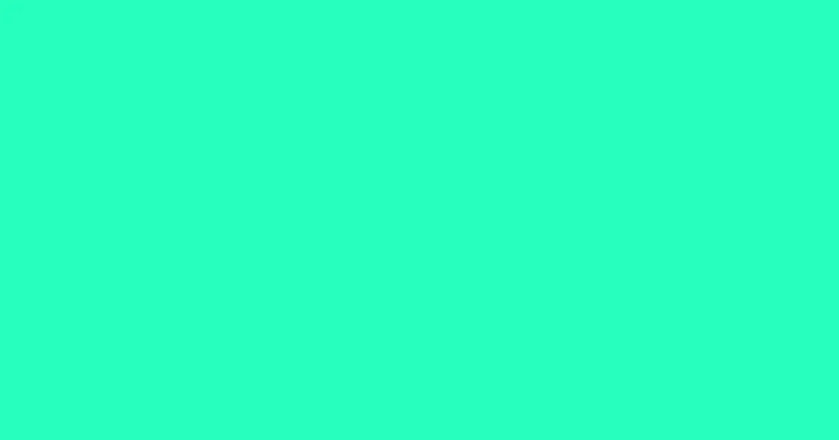 #26ffbc bright turquoise color image