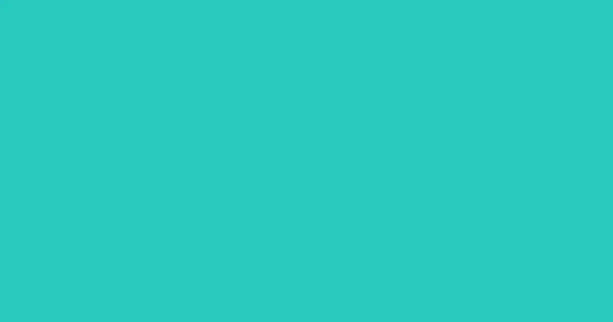 #27c9be turquoise color image