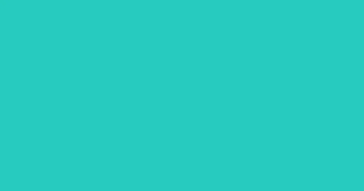 #27cabf turquoise color image