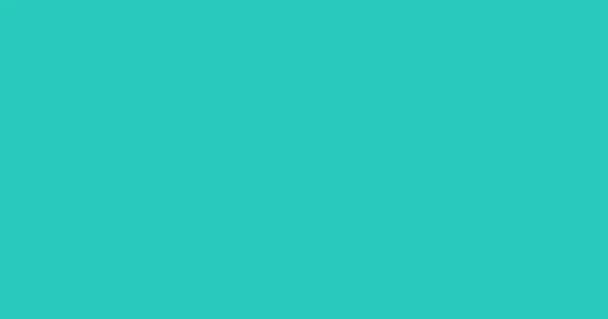 #28cabc turquoise color image