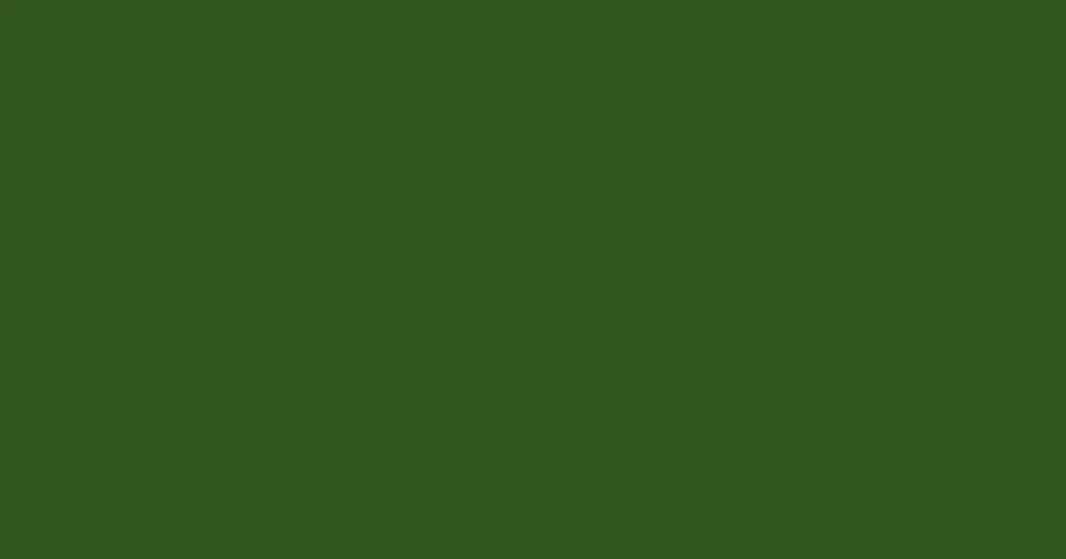 #30561f thatch green color image