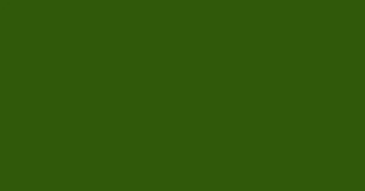 #305909 green leaf color image
