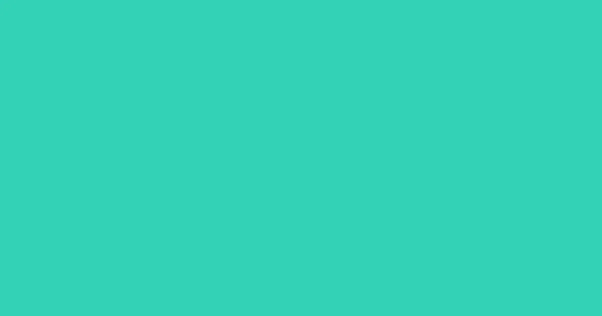 #33d2b5 turquoise color image