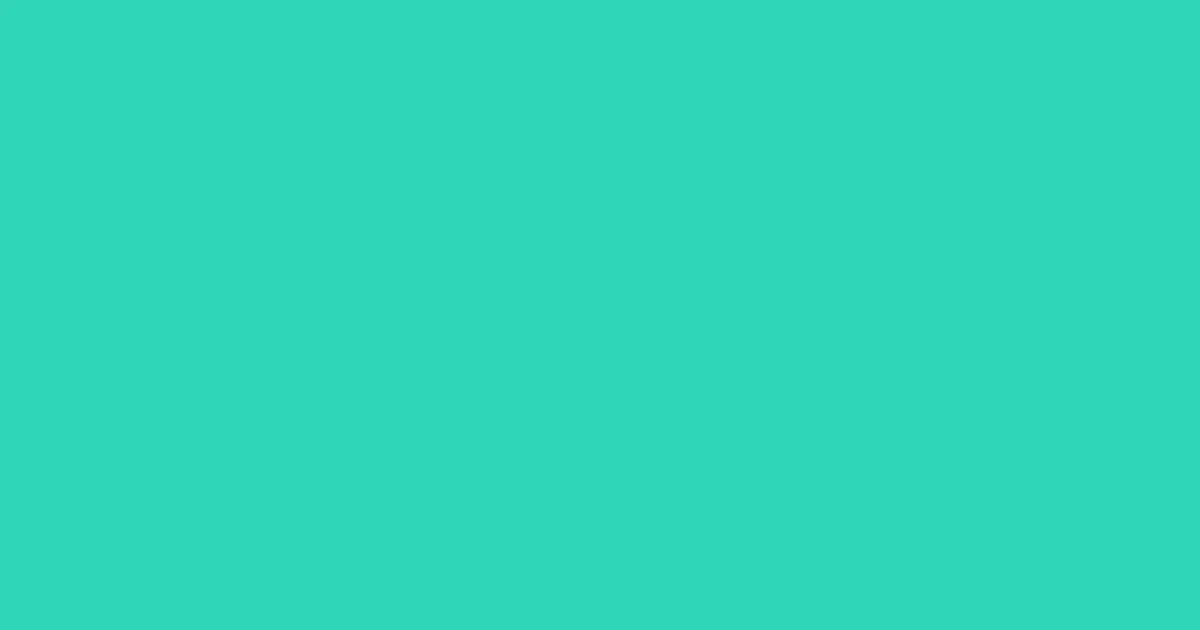 #33d6ba turquoise color image