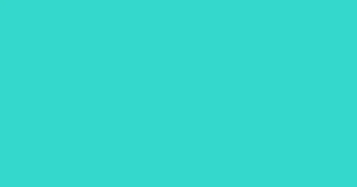 #33d7cc turquoise color image