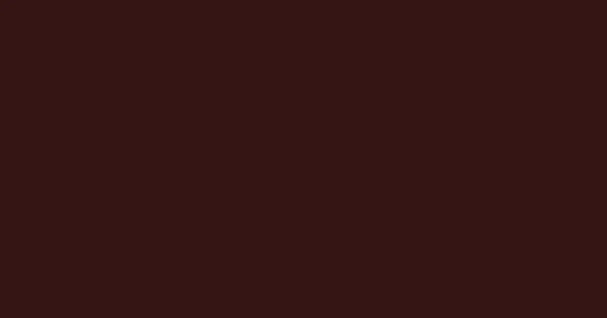 #341513 tamarind color image