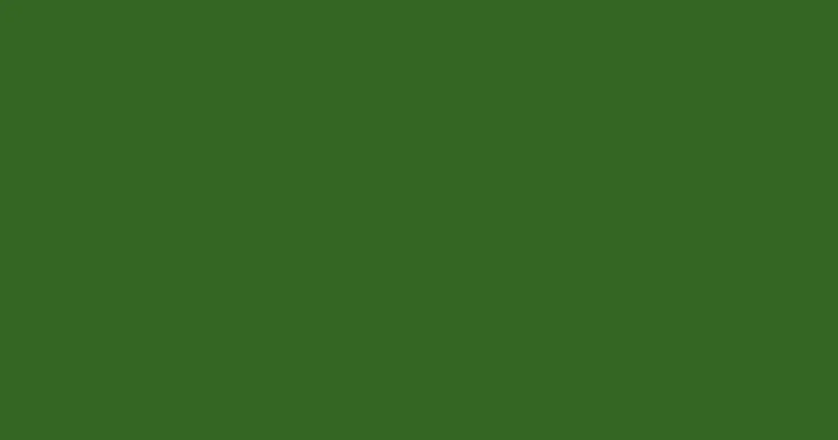 #356623 fern frond color image
