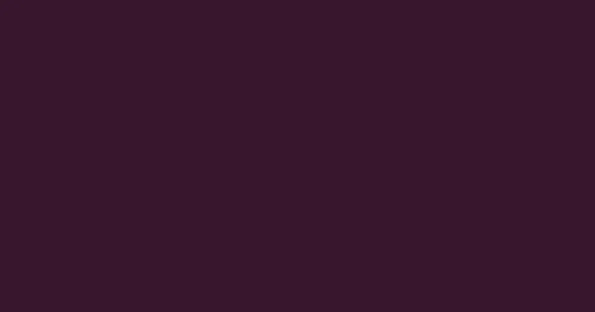 #37162d tamarind color image