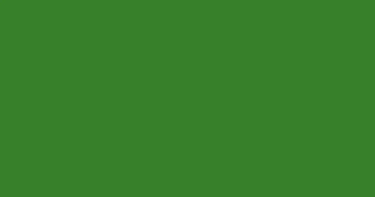 #37802a forest green color image