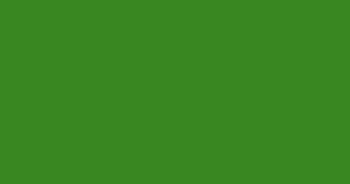 #388821 forest green color image