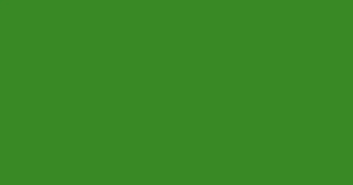 #388825 forest green color image