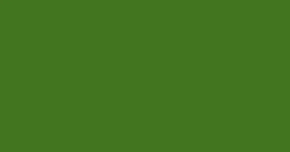 #427420 fern frond color image