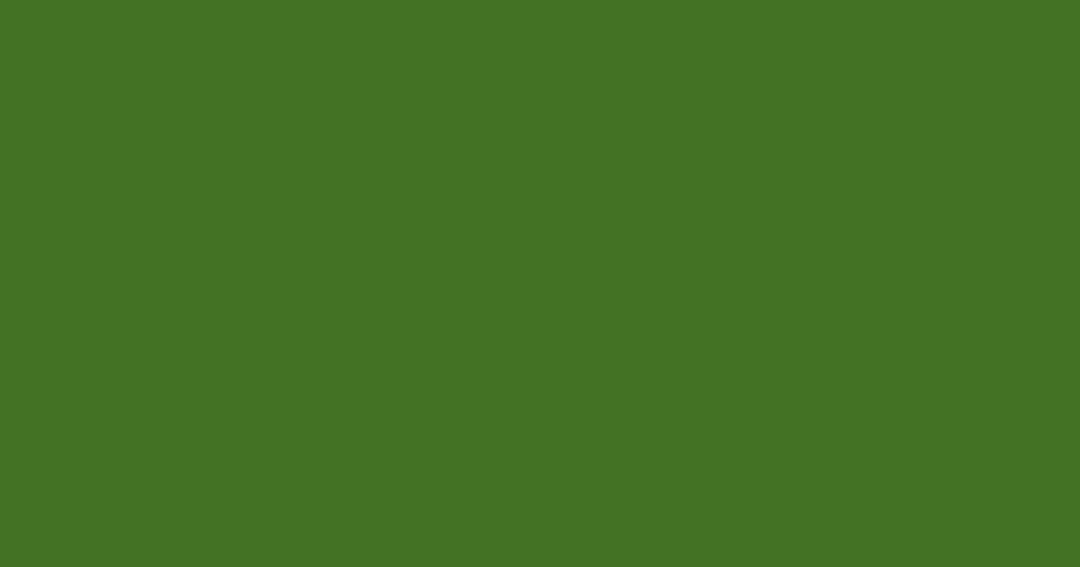 #437226 fern frond color image