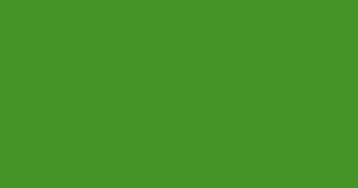 #459328 forest green color image