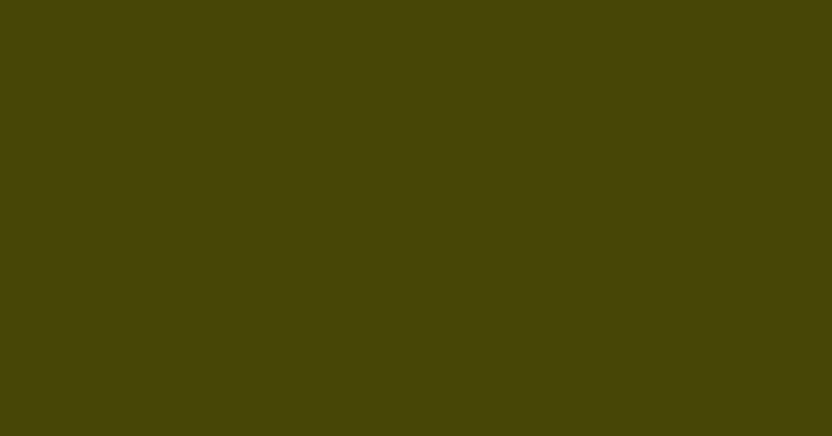 #464607 bronze olive color image