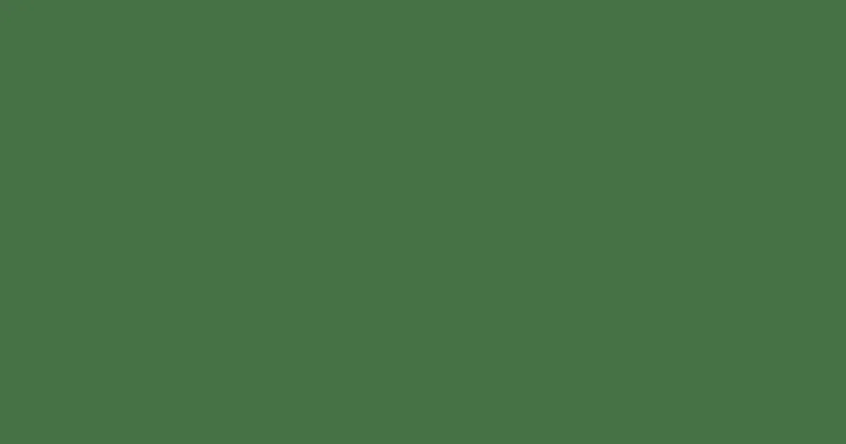 #467144 fern green color image
