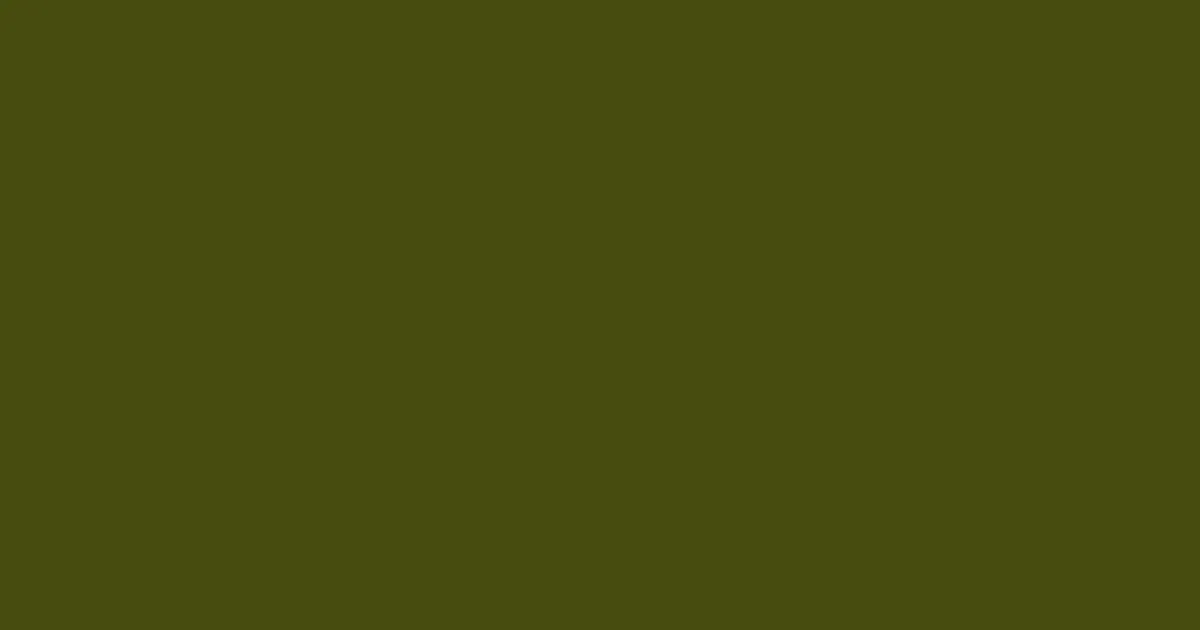 #474c10 clover color image
