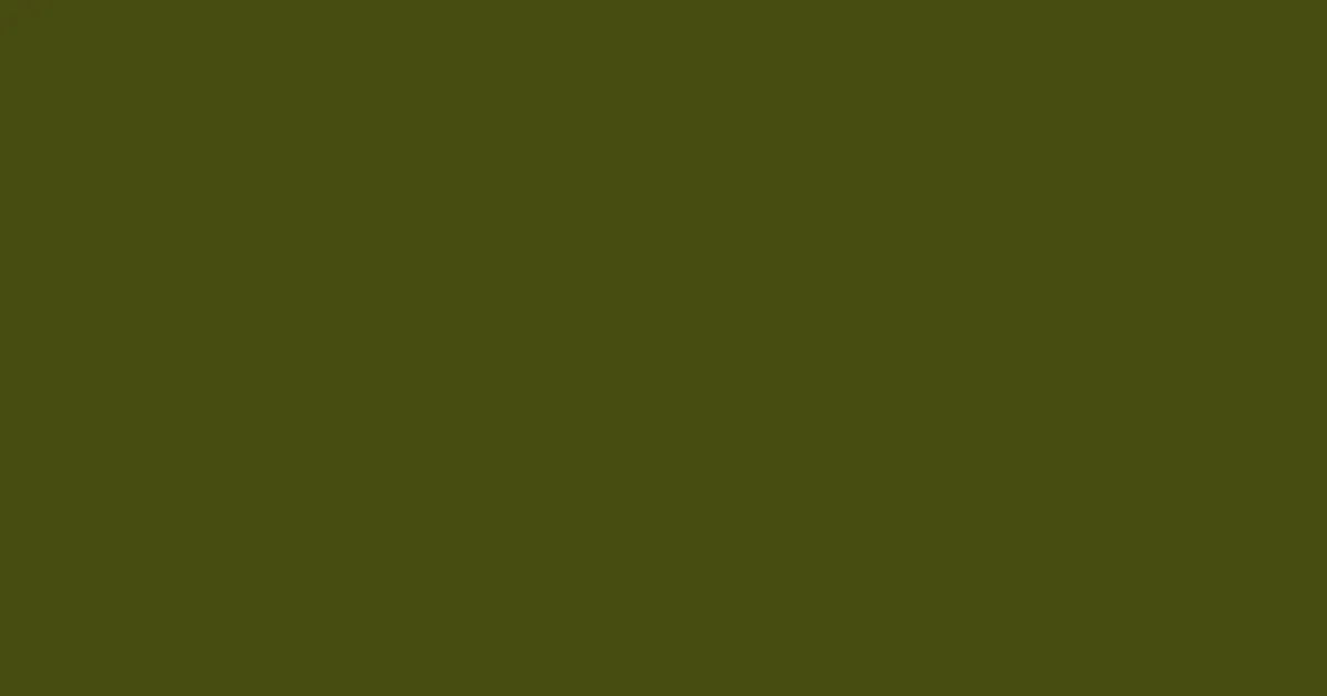#474c12 clover color image