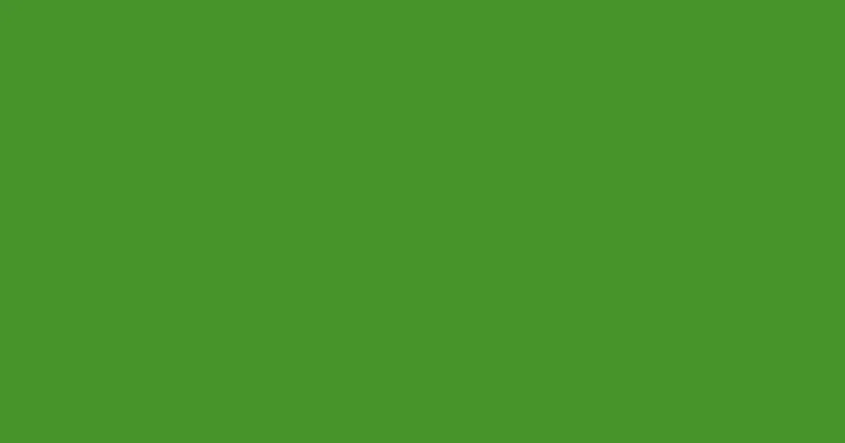 #47942a forest green color image