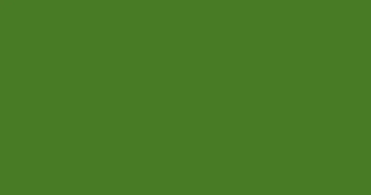 #487b26 fern frond color image