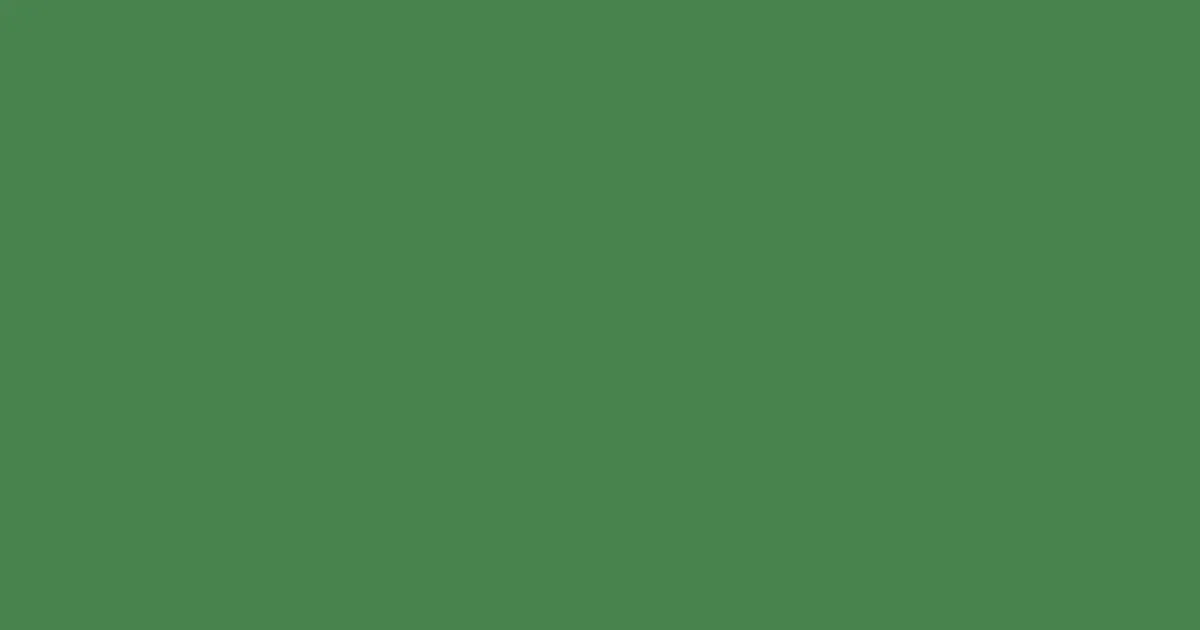 #48834d hippie green color image