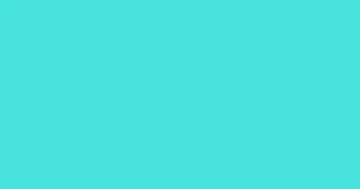 #48e3db turquoise blue color image