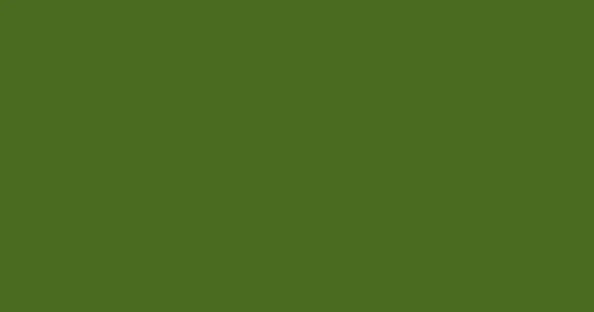 #496b20 fern frond color image