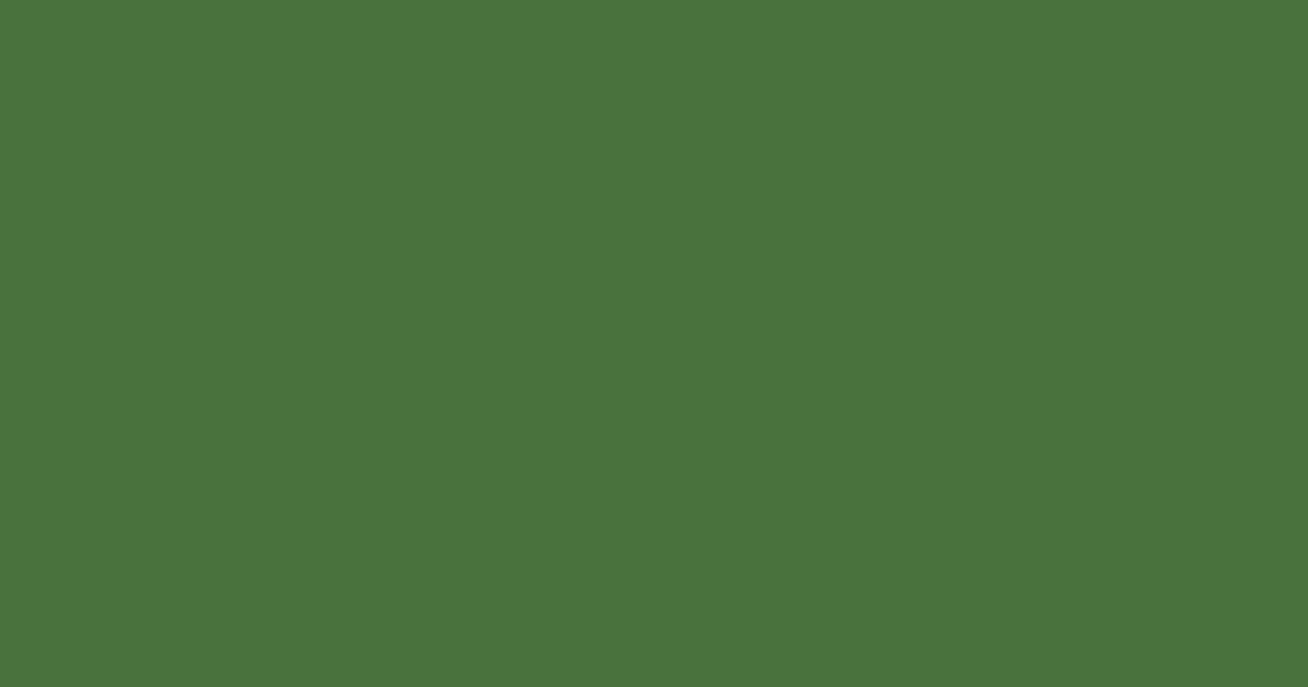 #49713c chalet green color image