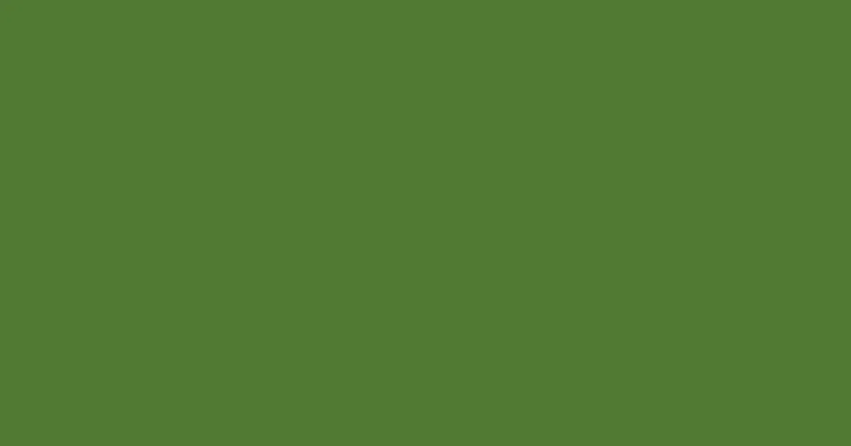 #507a34 fern green color image