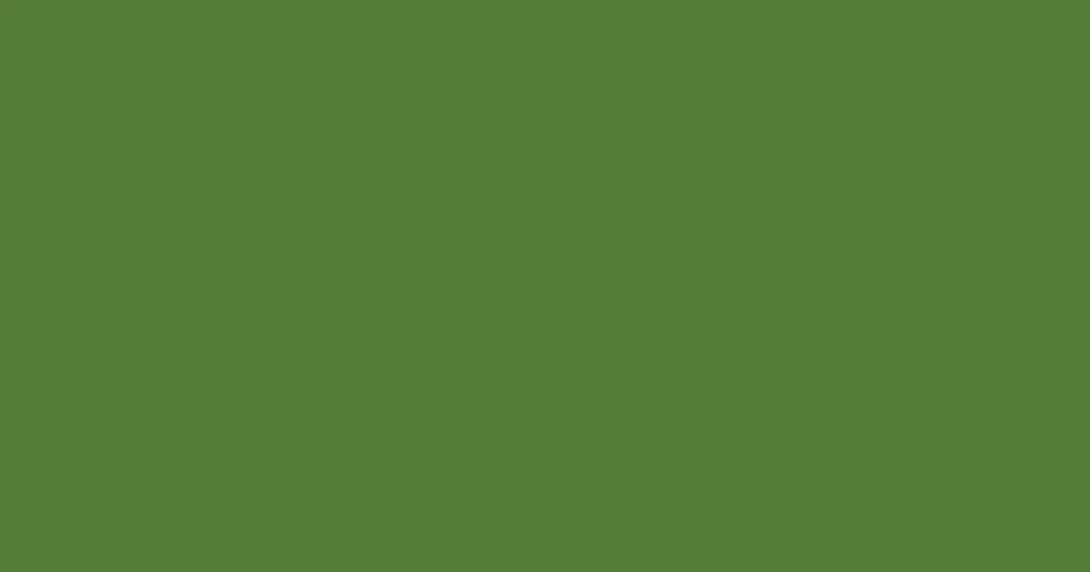 #537d39 fern green color image