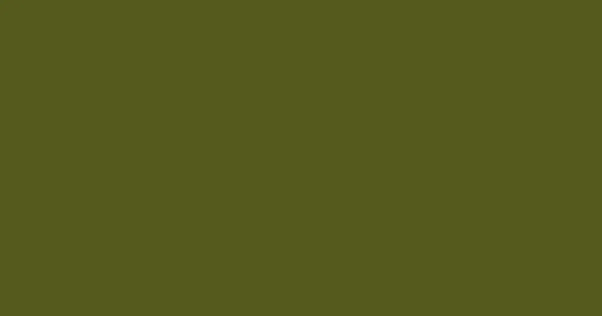 #545a1e fern frond color image