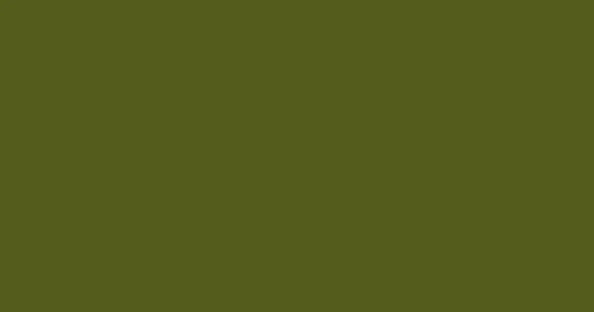 #545c1d fern frond color image