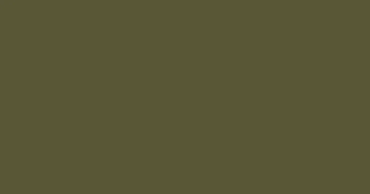 #585735 verdigris color image
