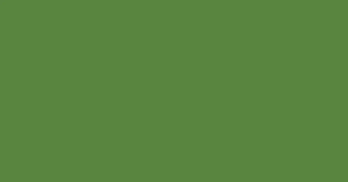 #59843e fern green color image
