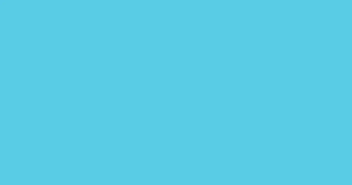 #59cbe5 turquoise blue color image