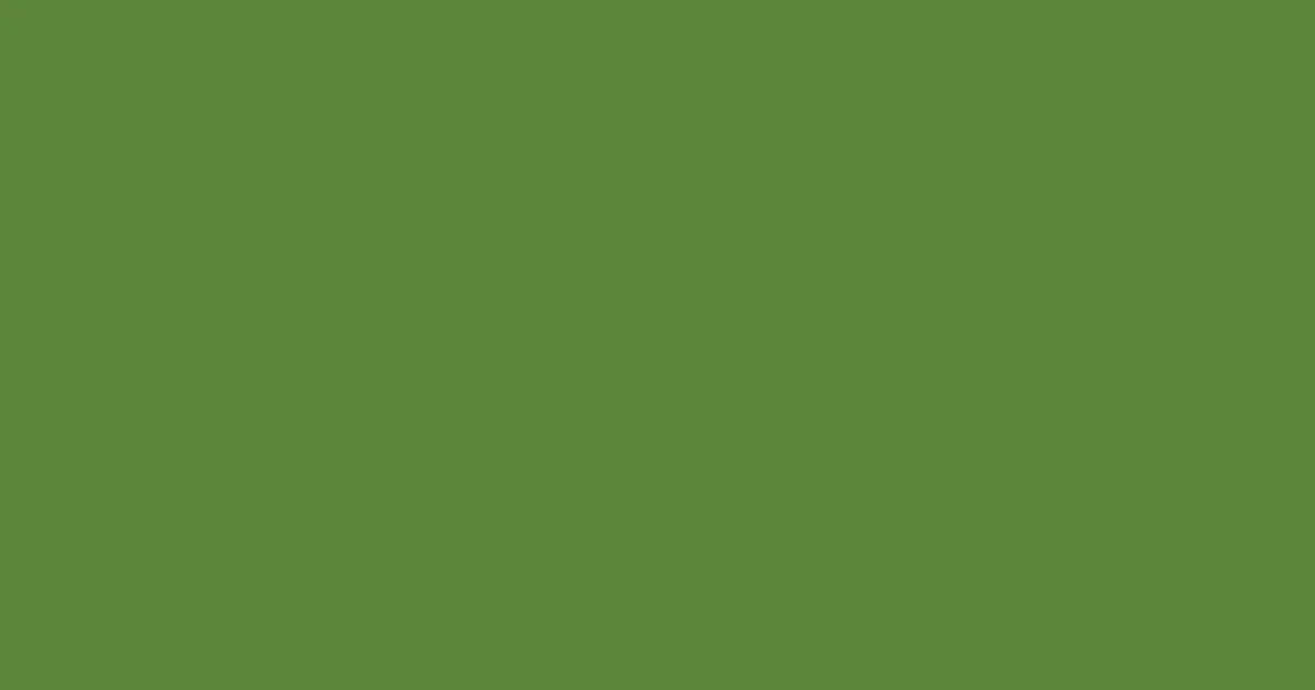 #5c863a fern green color image