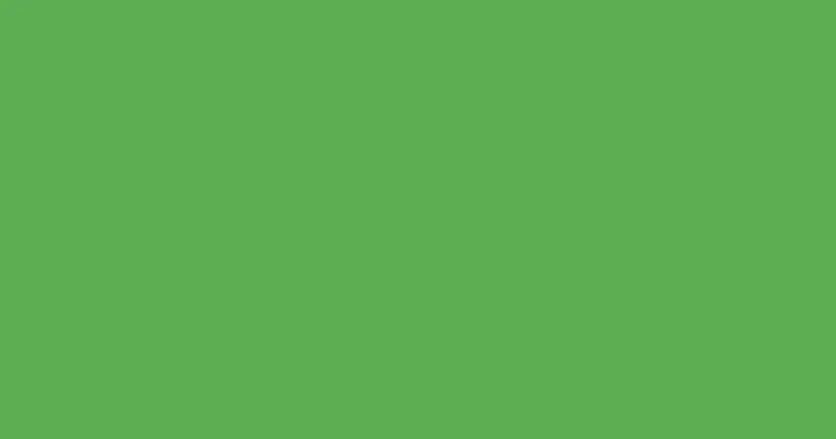 #5daf53 fern color image