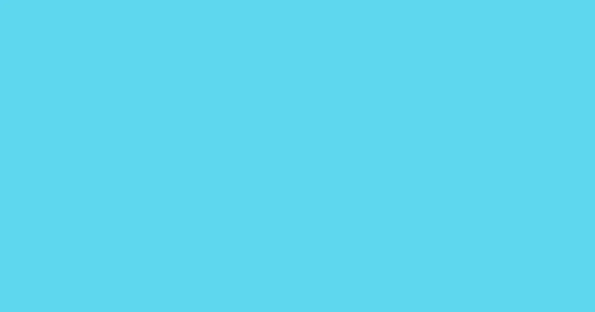 #5dd7ee turquoise blue color image