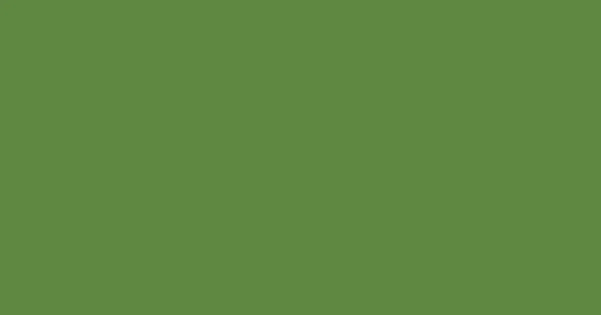 #5e8740 fern green color image