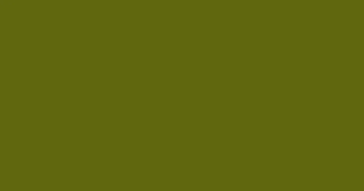 #5f670f olivetone color image