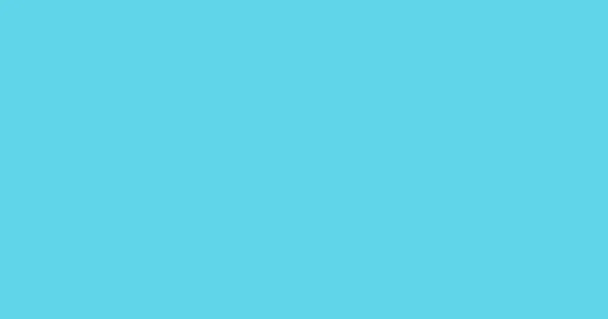 #60d5ea turquoise blue color image