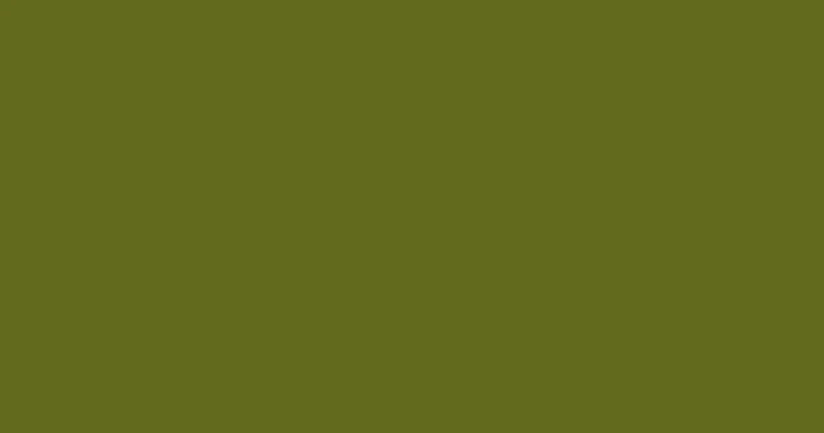 #61691b fern frond color image