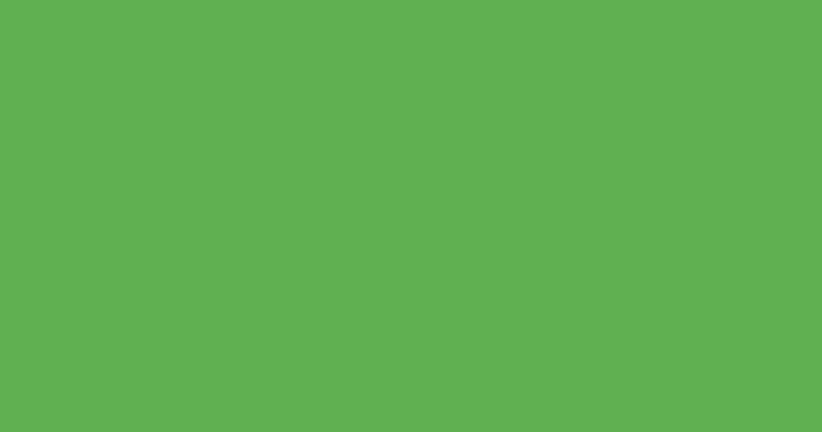 #61b051 fern color image
