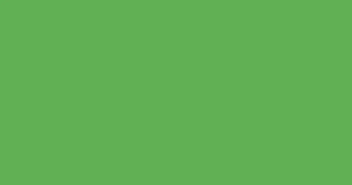 #61b154 fern color image