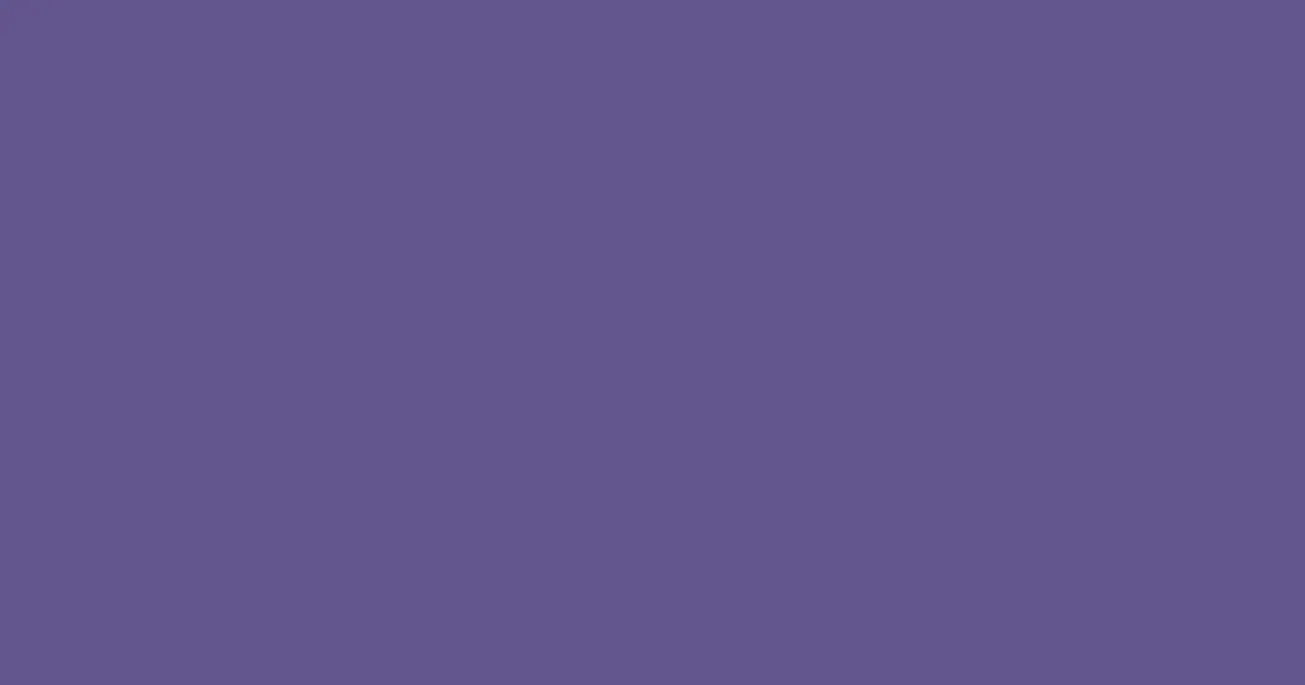 #62558d amethyst color image