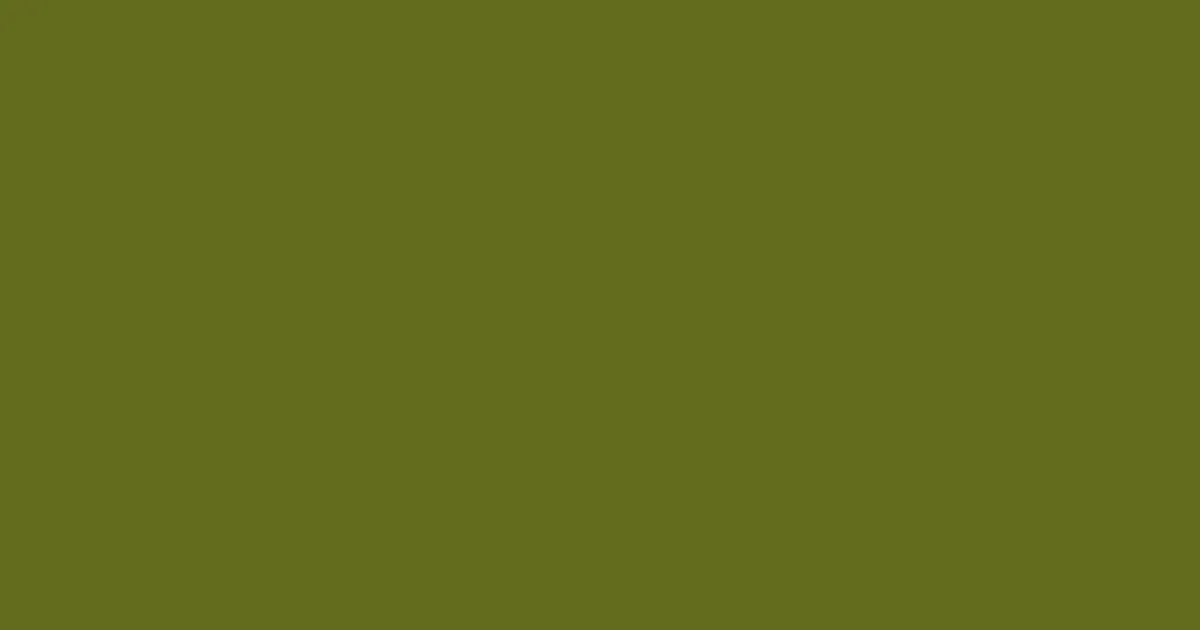 #626b1d fern frond color image
