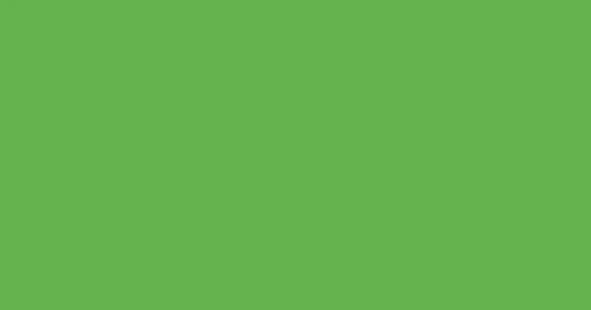 #62b34f fern color image